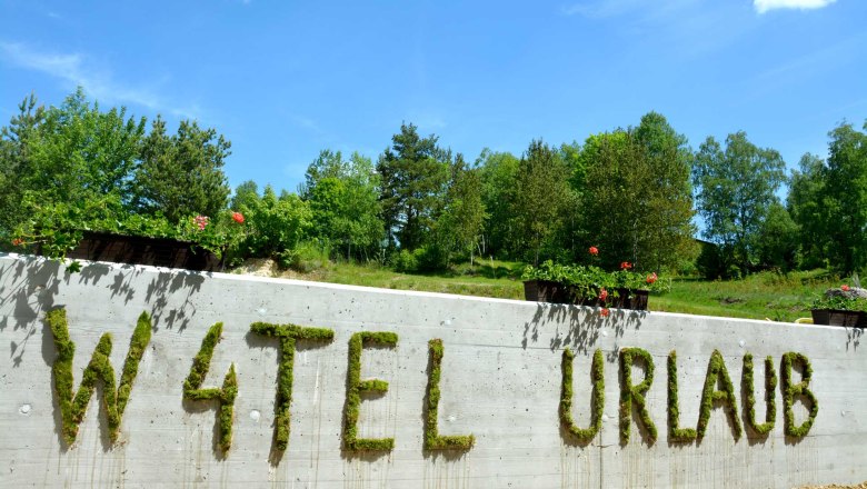 Mossfiti, © Christina Böhm