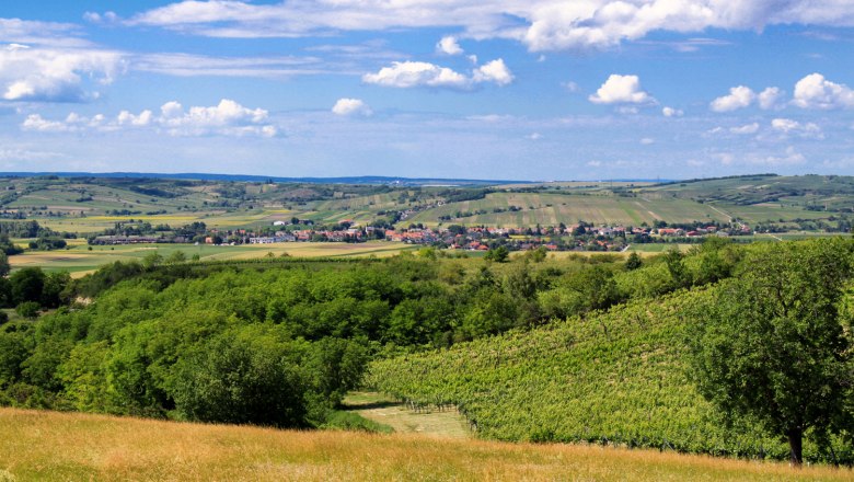 Vineyards and landscape under a blue sky with clouds.