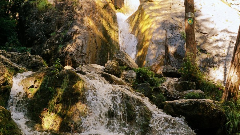 A waterfall flows over rocks in a wooded area.
