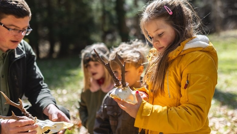Hunting declarations, © Wunderwelt Wald, Fotograf Benjamin Wald