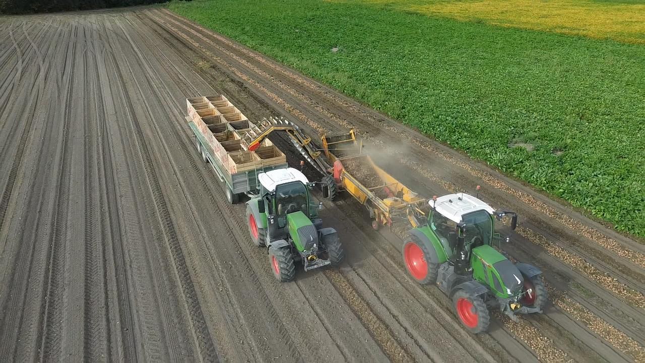 Two tractors harvesting in a field, one pulling a trailer with crates, the other a harvesting machine.