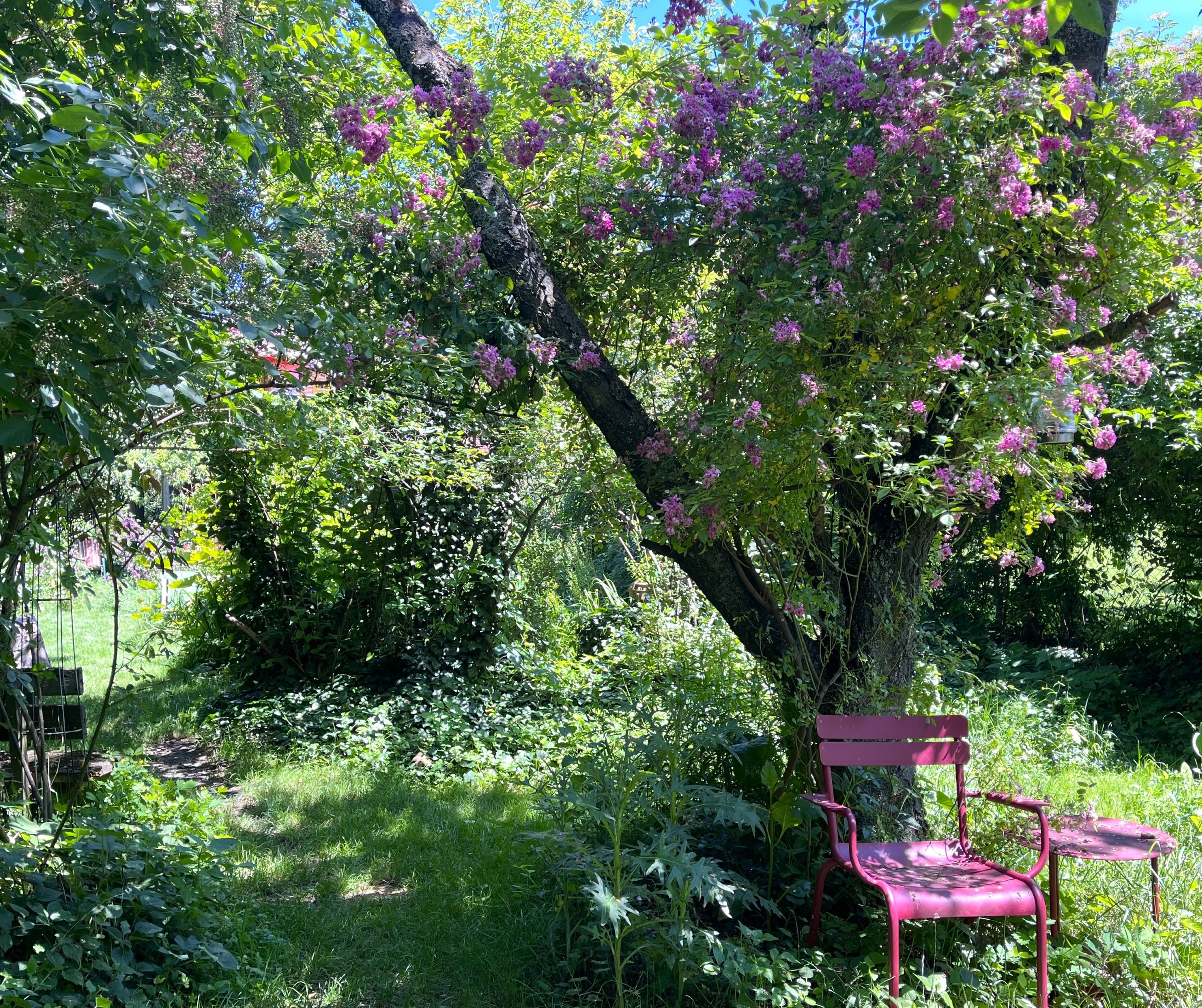 An idyllic garden with a pink chair and table under a tree with purple flowers.