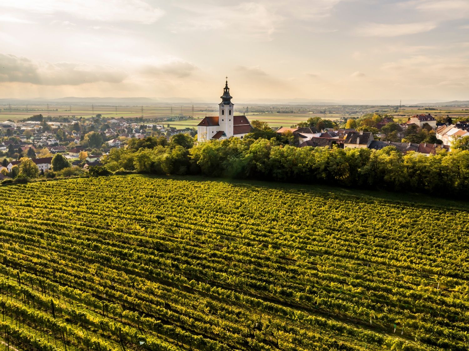 Landscape view of Kirchberg am Wagram with church and vineyards in the foreground.