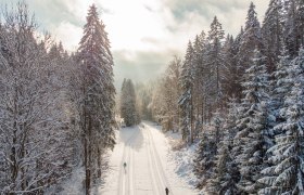 Snow-covered cross-country ski trail in a forest with two cross-country skiers.