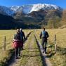 Four hikers on a dirt road with snow-covered mountains in the background.