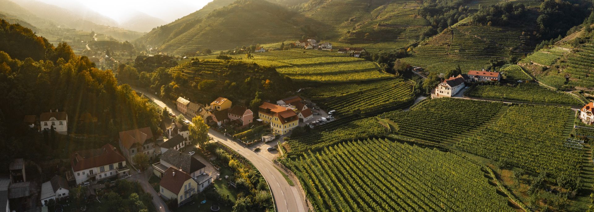 Aerial view of a rural landscape with vineyards and houses at sunset.