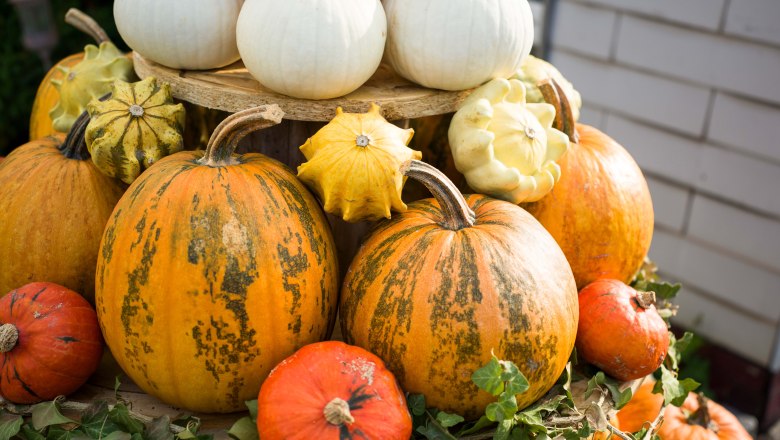 Pumpkin pyramid with different pumpkin varieties
