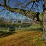 Autumn landscape with trees, foliage and modern buildings in the background.