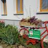 A red bicycle with a flower box stands in front of a building with a garden.