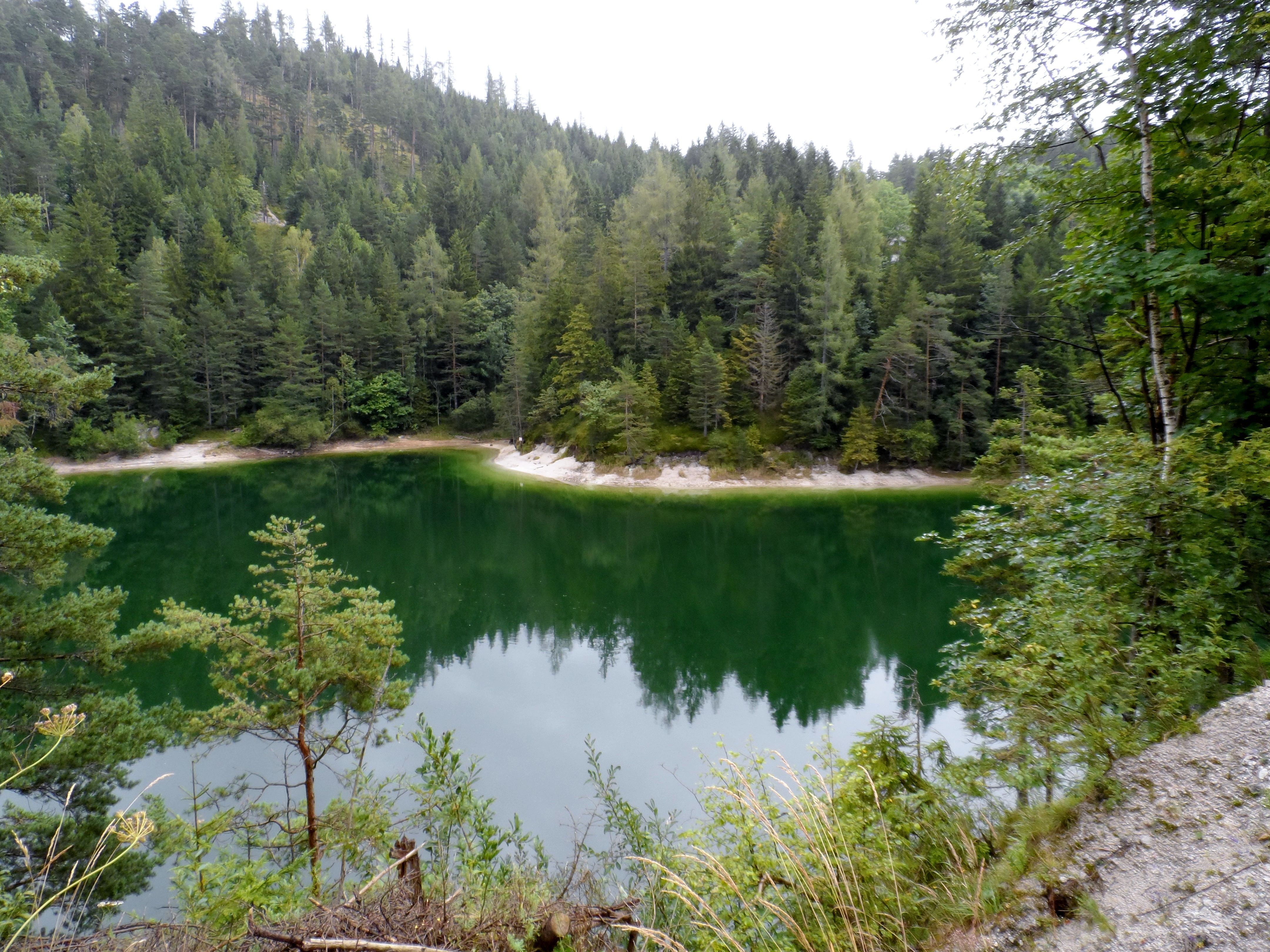 A small, green lake surrounded by dense coniferous forests.