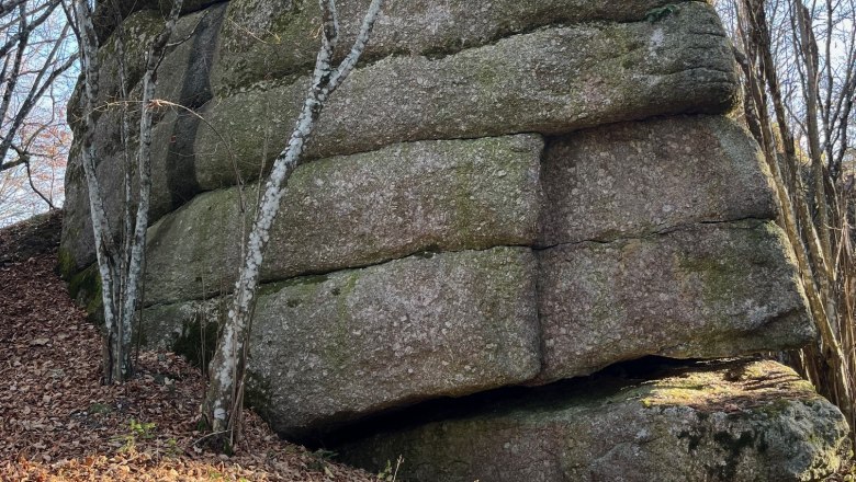 A large, moss-covered rock in the forest, surrounded by bare trees.