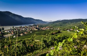 Panorama Wei&szlig;enkirchen, &copy; Robert Herbst