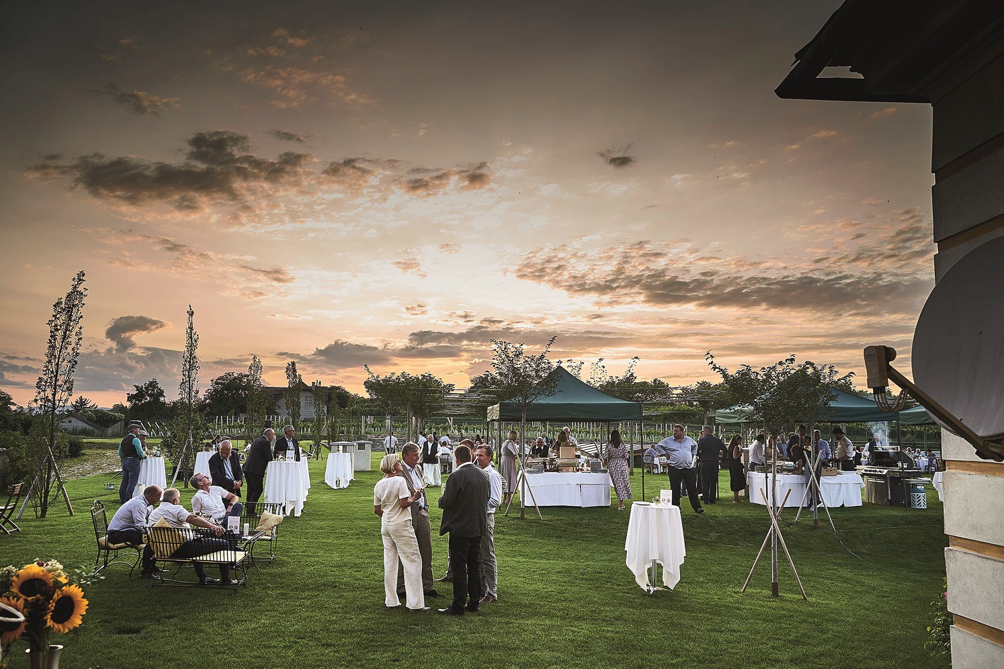 Garden party with guests at sunset, tables and tents on a meadow.