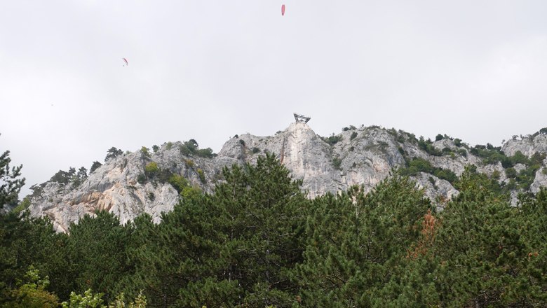 View of a skywalk on a rocky mountain with trees in the foreground.