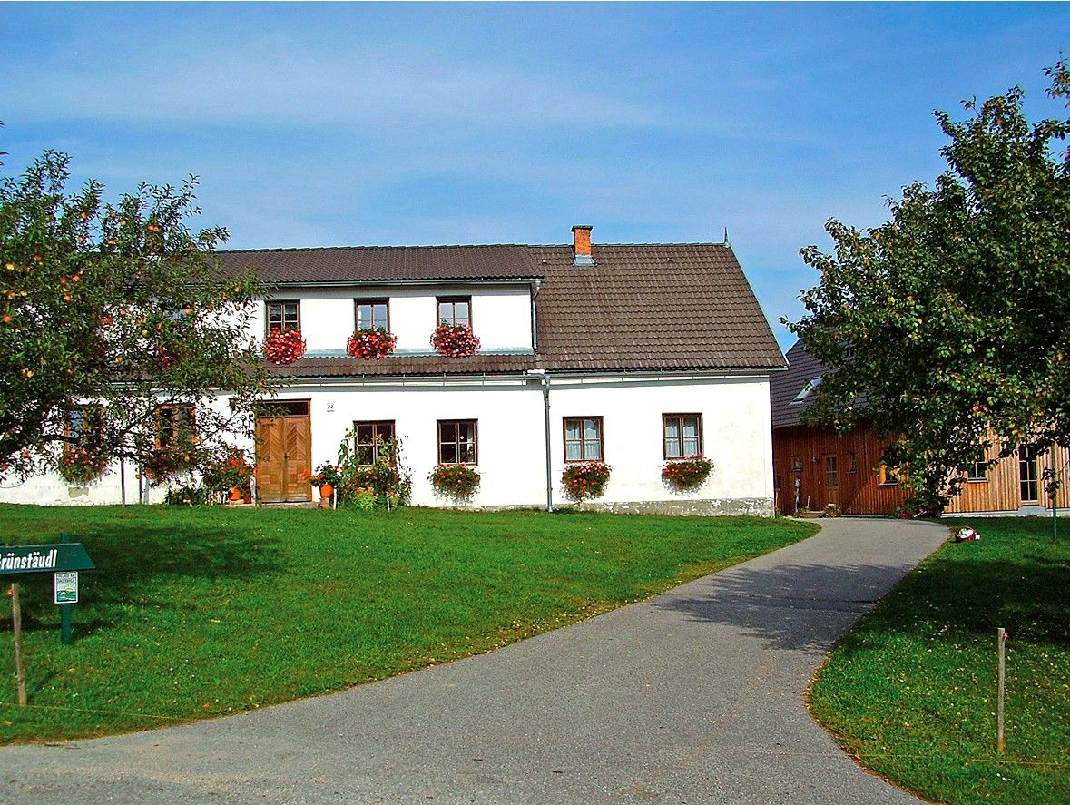 A traditional farmhouse with flowers in the windows and a well-tended garden.