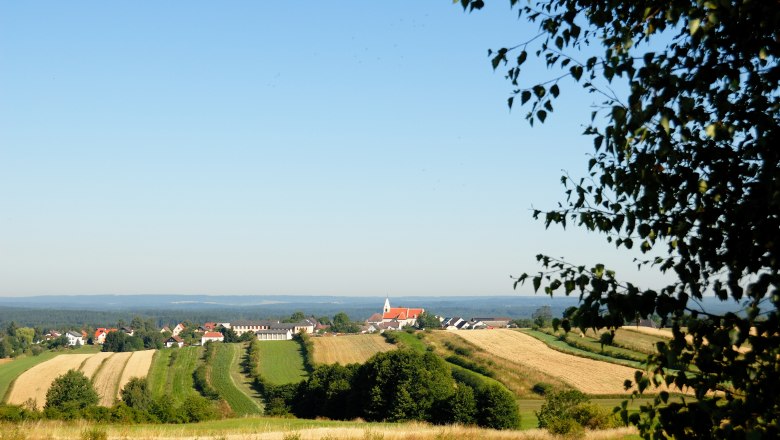 Landscape with fields and a village in the background, blue sky, tree in the foreground.