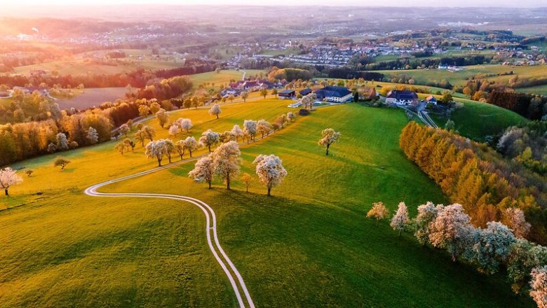 SW_Birnbaumbluete_DJI_20250420003409_0305_D_Allhartsberg_.jpg, &copy; Sabine Wieser