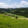 Forest and meadow in Gutental, © Waldhof Grasel