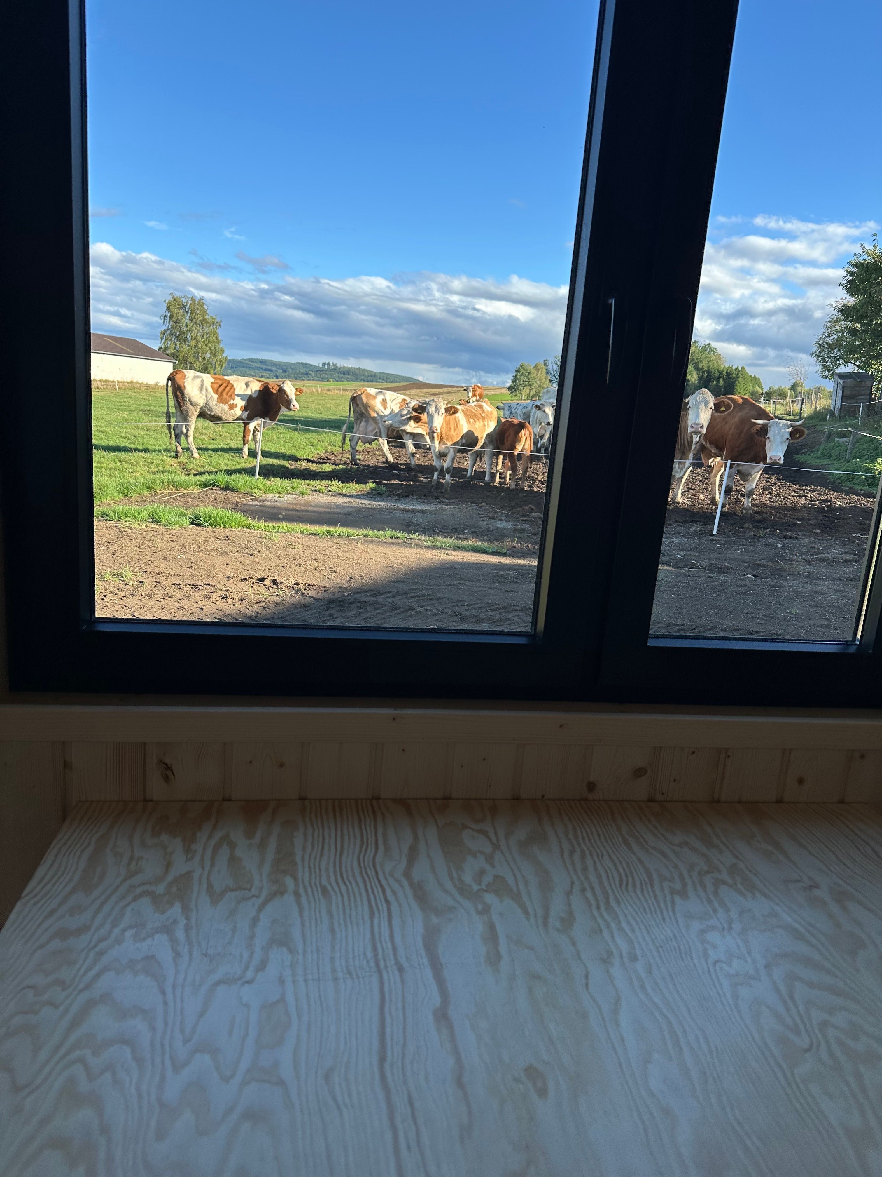View from the Tiny House