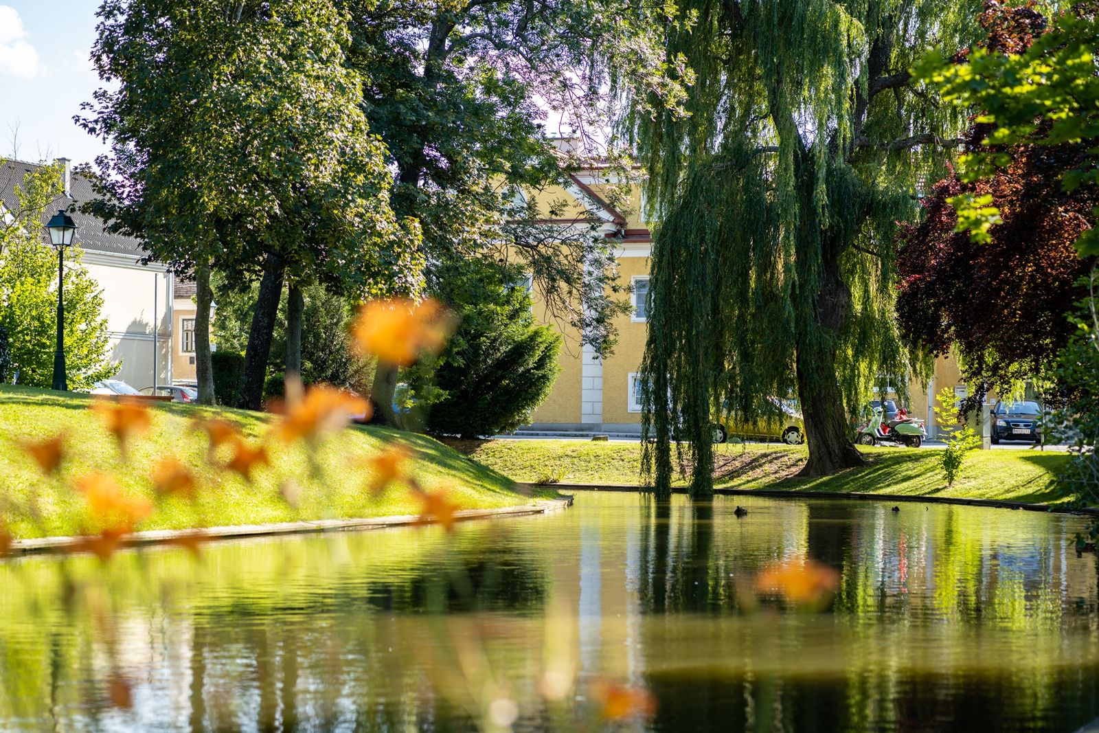 Villa pond 