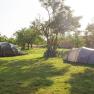 Two tents on a green meadow with trees and bicycles in the background.