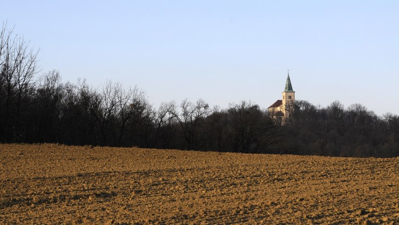 A church with a green tower on a hill, surrounded by trees, in the background of a brown field.
