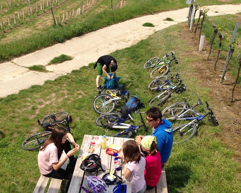 Group of people having a picnic next to bicycles on a meadow.