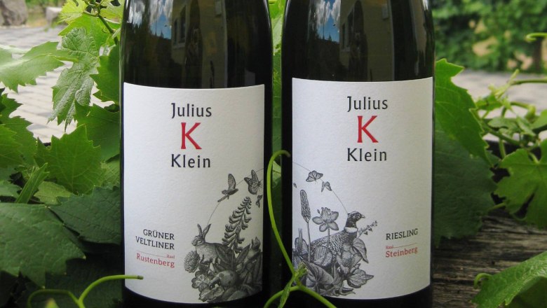 Two Julius Klein wine bottles in a vineyard.