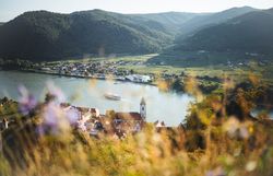 Die sanften Hügel der Wachau umrahmen das malerische Dürnstein, während die Donau friedlich durch die Landschaft fließt. Die Ruine Dürnstein thront majestätisch über dem Dorf und bietet einen atemberaubenden Blick auf die umliegenden Weinberge und die glitzernde Wasseroberfläche. Hier erleben Besucher die perfekte Symbiose aus Natur und Geschichte.