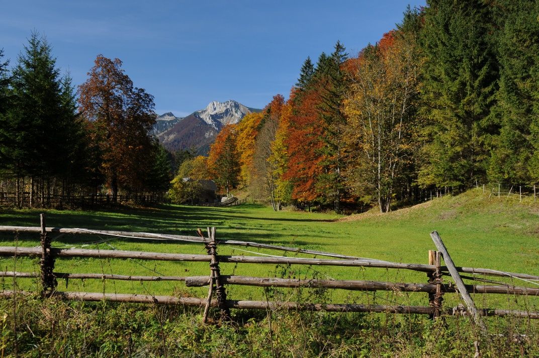 View to the forester's lodge