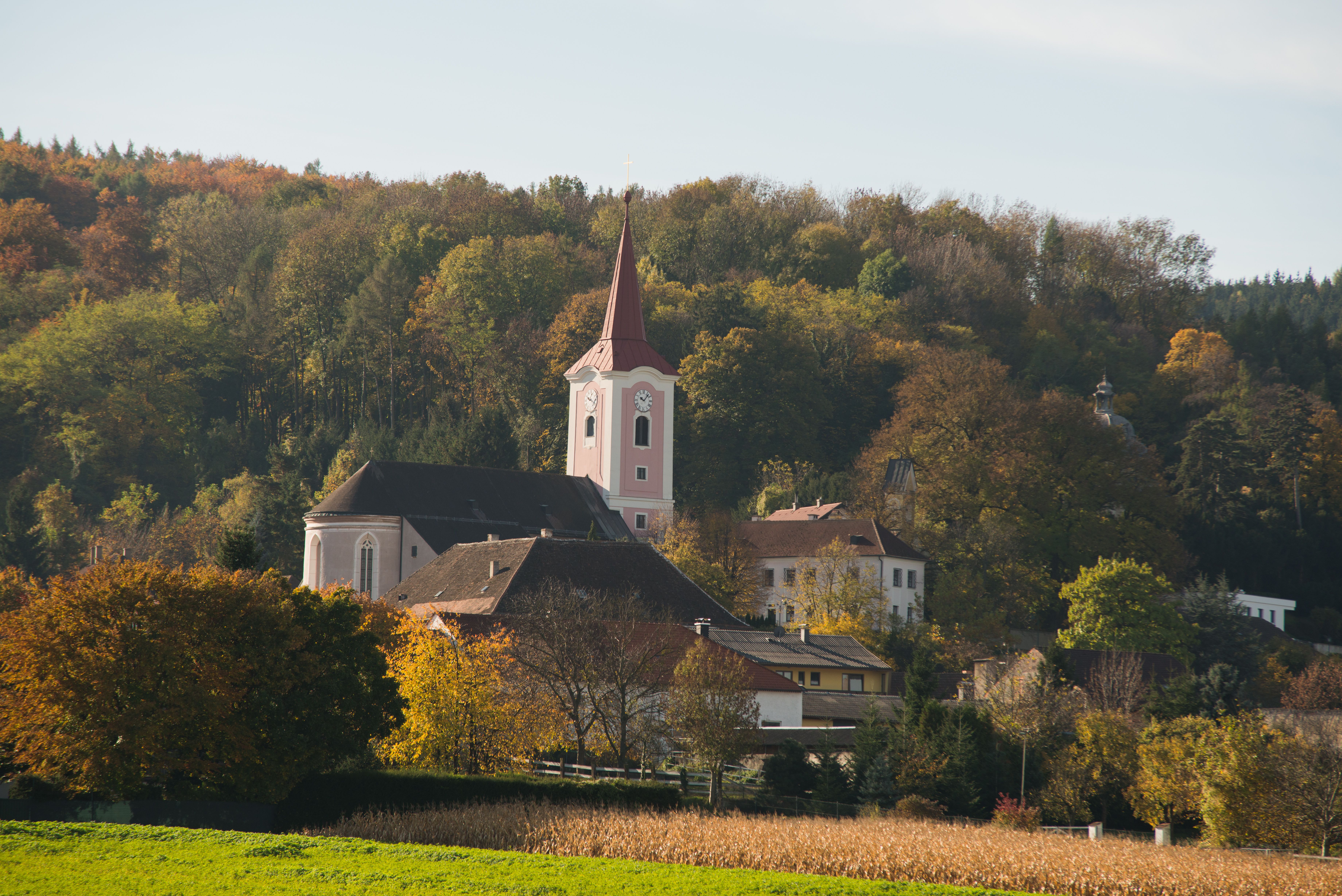 Murstetten church in an autumnal landscape with trees in the background.