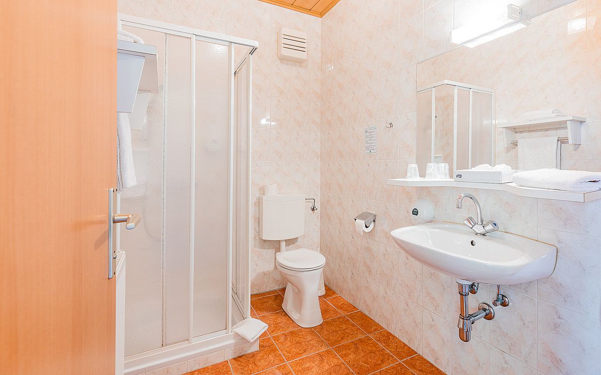 A bathroom with shower, toilet and washbasin.