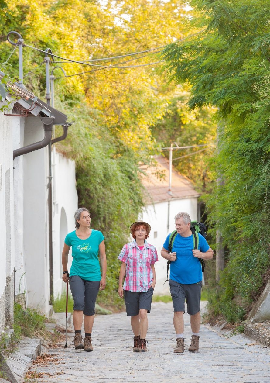 Wander through the Weinviertel wine cellar lanes
