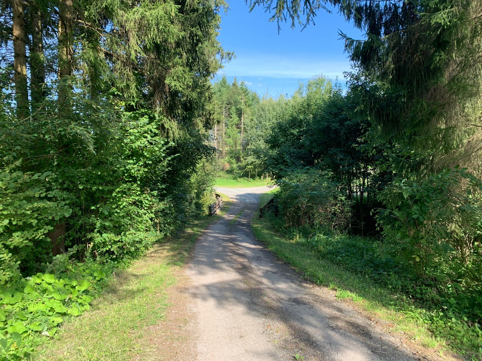 Way to the quarry