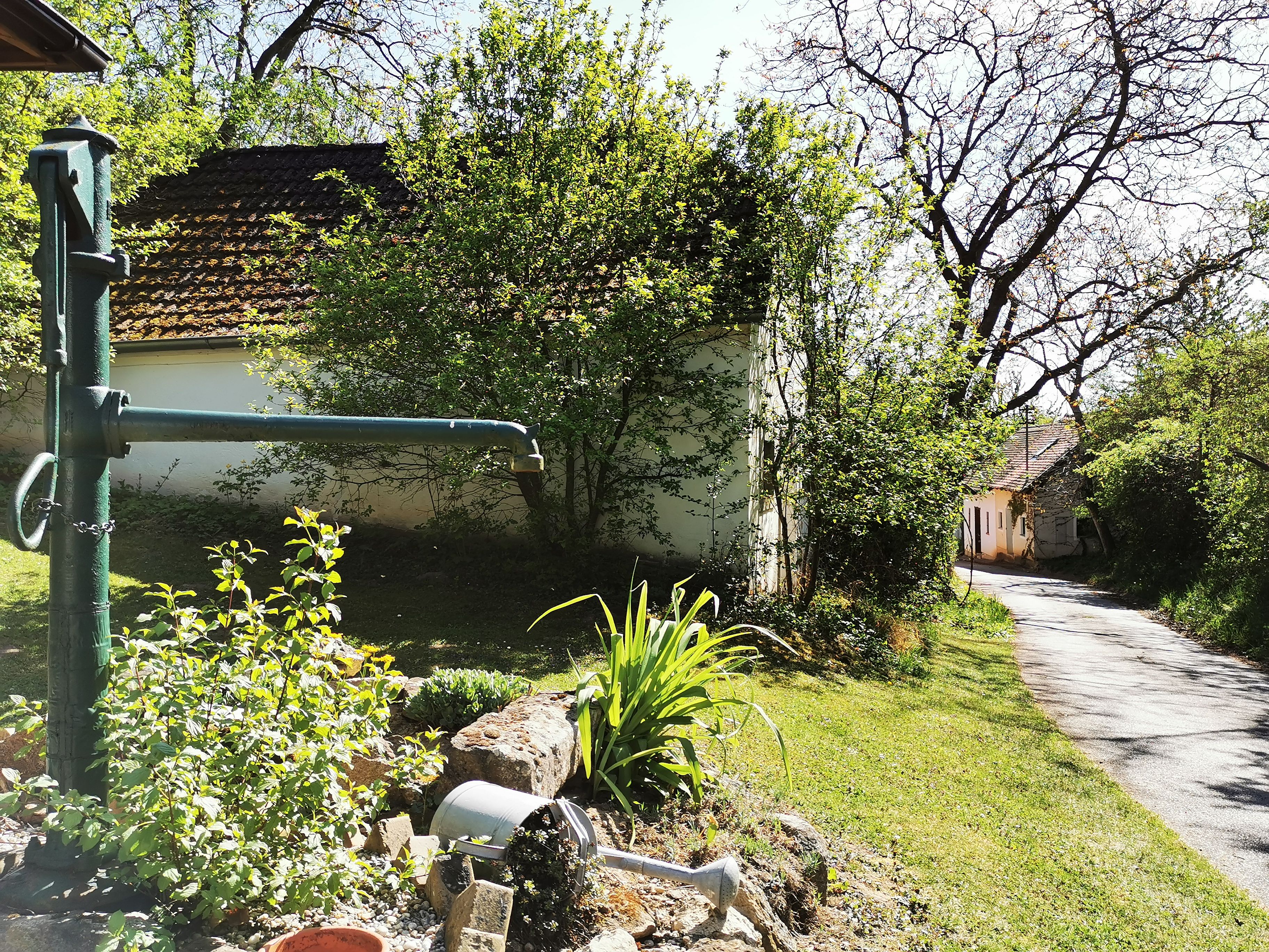 Rural scene with water pump, plants and path.