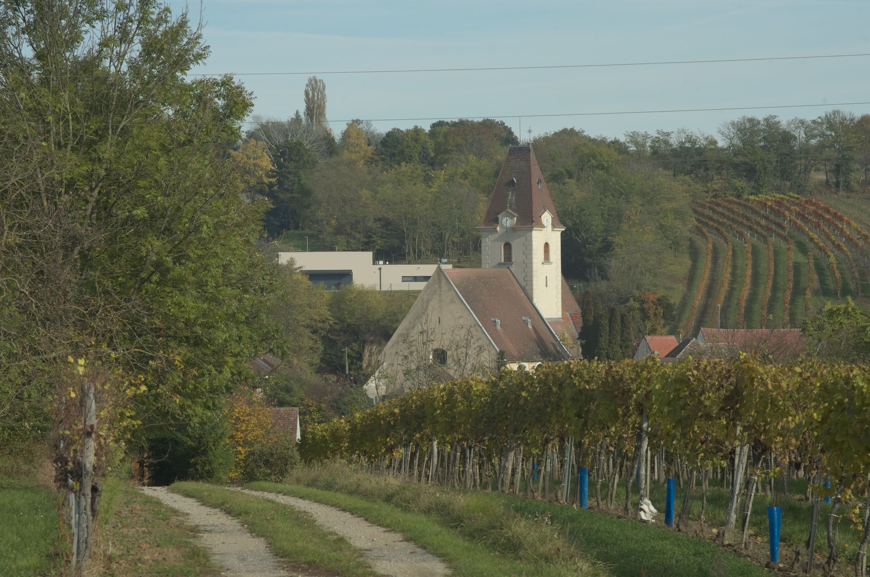 View of a church in the middle of vineyards in Ruppersthal.