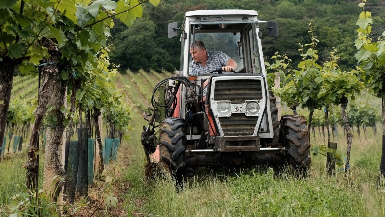 Schachl family, &copy; Wienerwald Tourismus/Kerstin Semmelmeyer