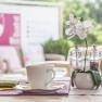 A laid table with two cups, salt and pepper shakers and a white orchid in the foreground.