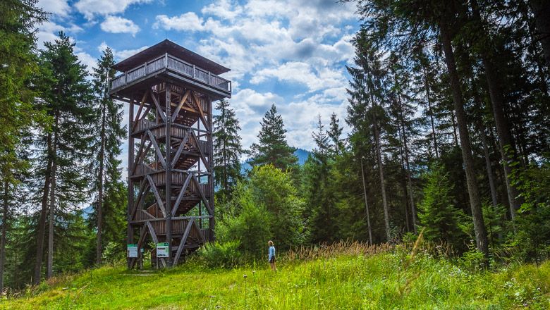 A wooden observation tower stands in a wooded area, surrounded by tall trees and a meadow. A person is standing near the tower.