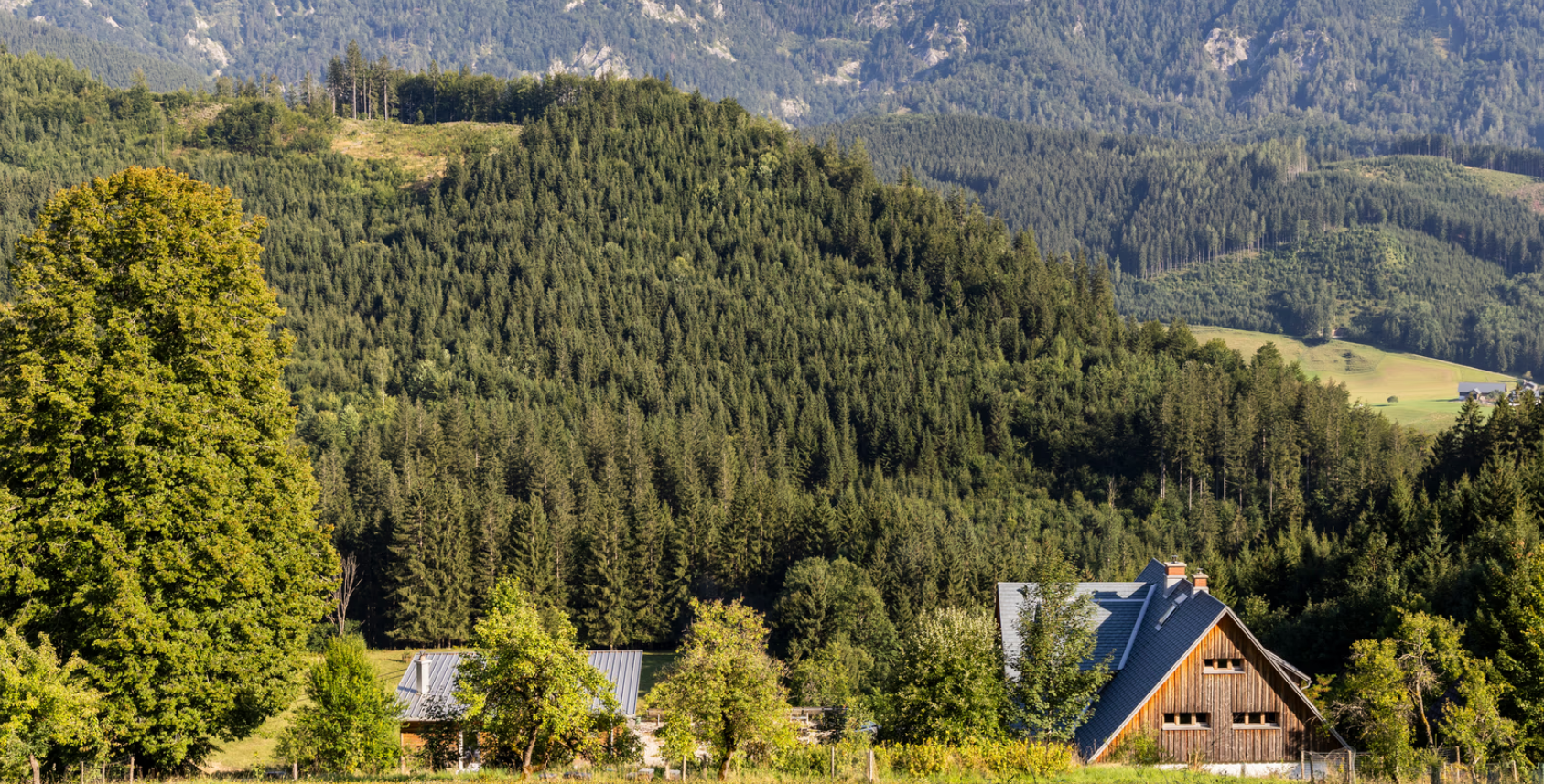A farm in the middle of a wooded mountain landscape in Lunz am See.