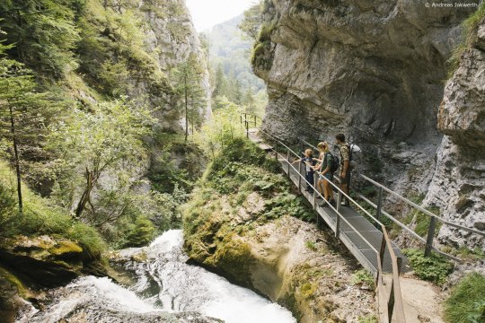 Feeling nature in the Ötscher-Tormäuer natural park, © Andreas Jakwerth