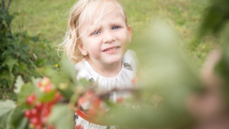 Fruit trail, © Mostlandhof