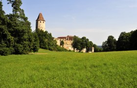 Seebenstein Castle with tower and green meadow in the foreground.