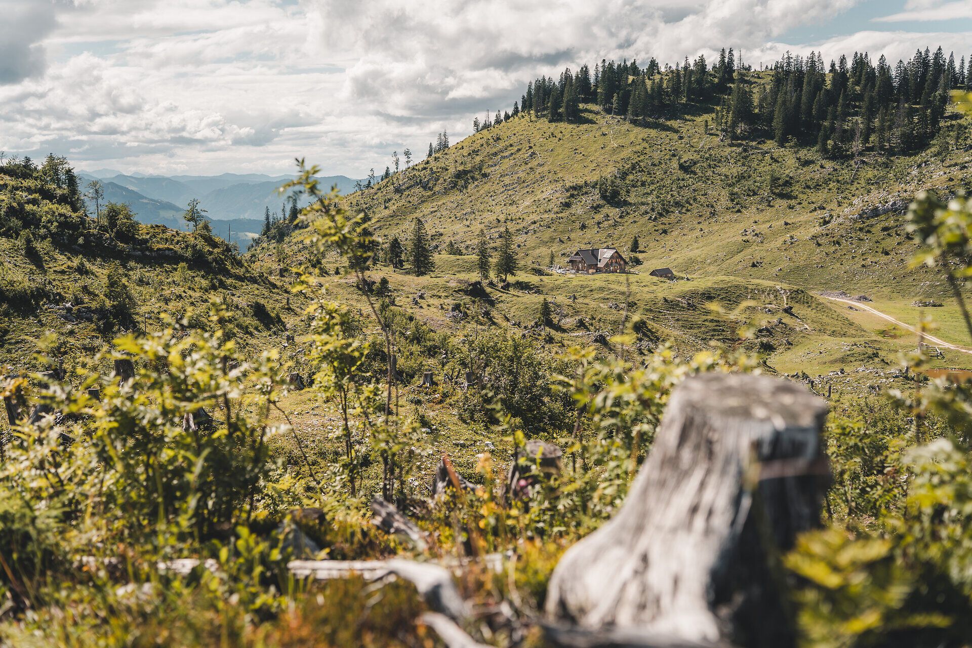 Alpine landscape around the Ybbstalerhütte in the Mostviertel.