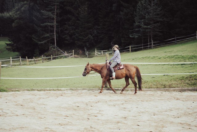 Horse country, &copy; Eichbergers