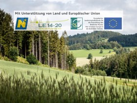 Weinsbergerwald Radweg, &copy; Waldviertel Tourismus