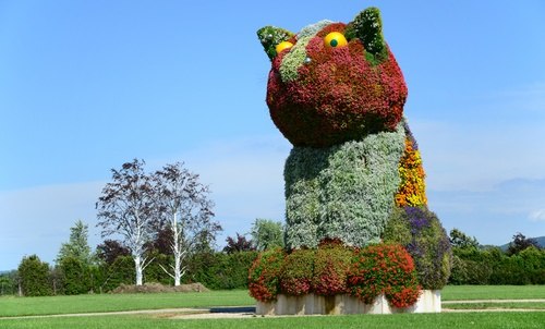 Large cat figurine made of colorful flowers in a meadow.