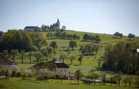 Photo point St. Michael am Bruckbach, &copy; schwarz-koenig.at