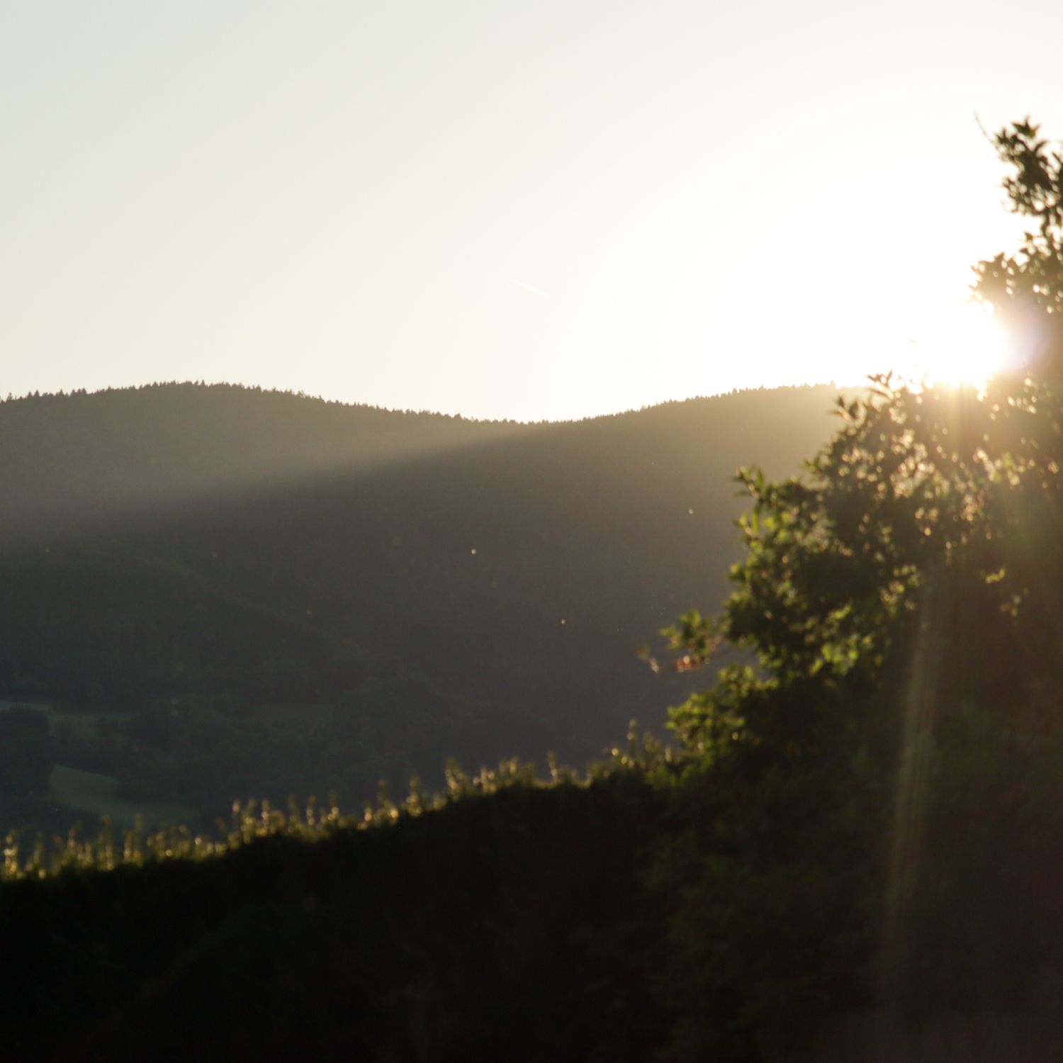 Sunset in the Yspertal with hills and trees in the foreground.