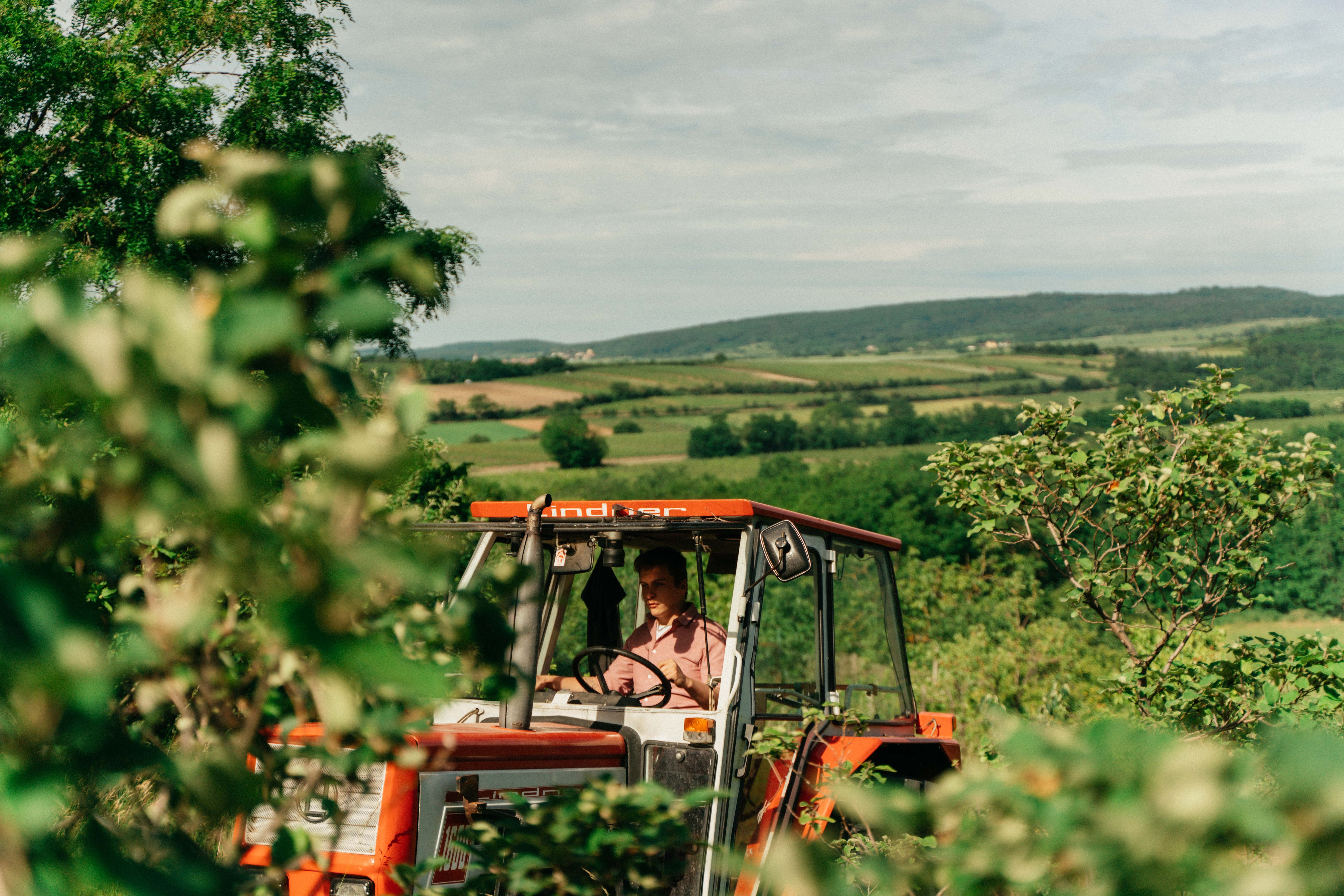 A man drives a red tractor through a green landscape with hills in the background.